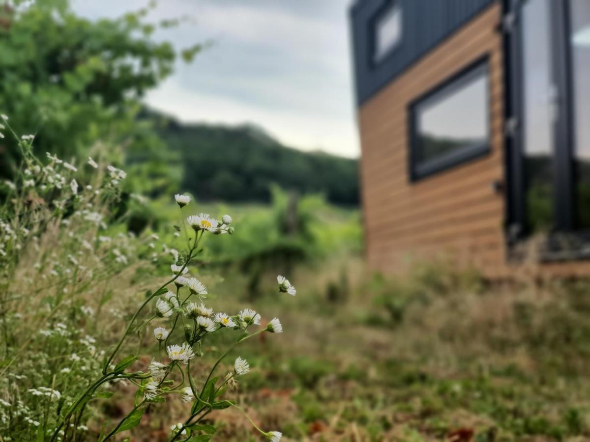 Pop Tiny House Balaton Lejlighed Kaptalantoti Eksteriør billede